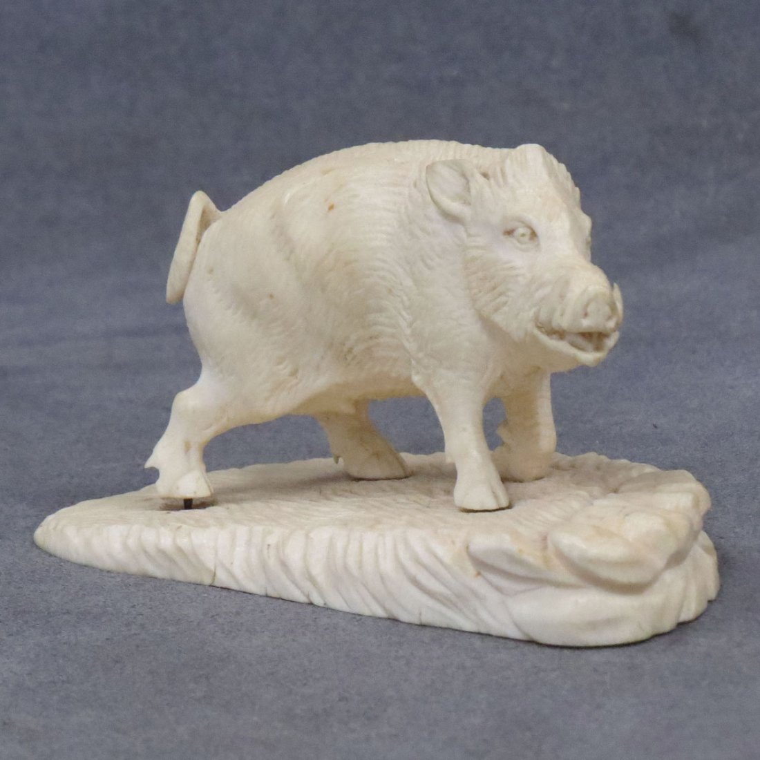 CONTINENTAL CARVED IVORY FIGURE OF A WILD BOAR: CONTINENTAL CARVED IVORY FIGURE OF A WILD BOAR. HEIGHT 2 1/2"; LENGTH 4" DEC #16-104 **CANNOT EXPORT**