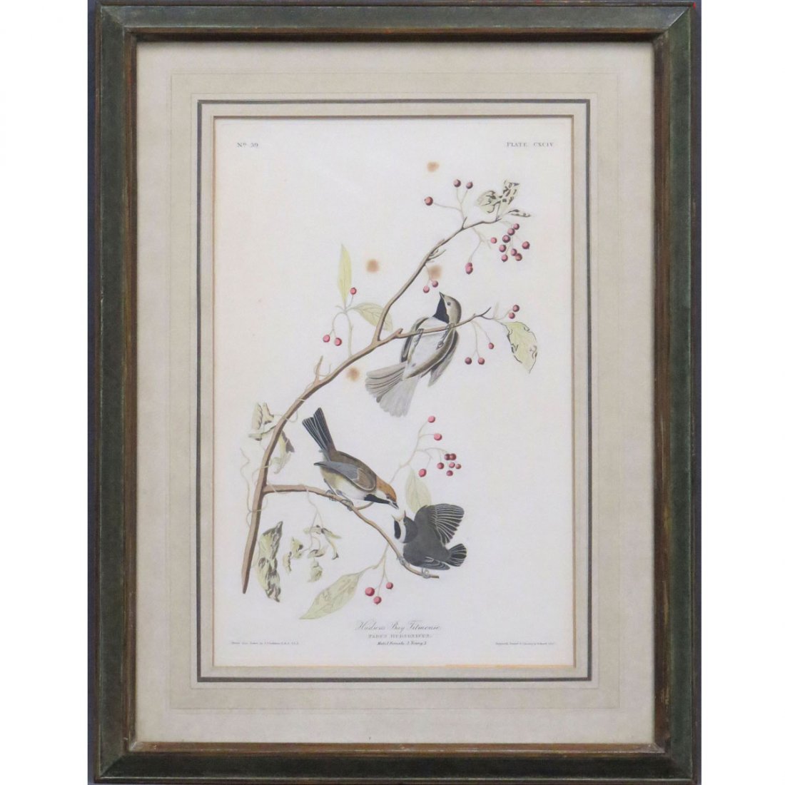 JOHN JAMES AUDUBON (AMERICAN 1785-1851): JOHN JAMES AUDUBON (AMERICAN 1785-1851), HAND COLORED ENGRAVING, "HUDSON'S BAY TITMOUSE", PLATE 194 (VAR.2) FROM BIRDS OR AMERICA, HAVELL EDITION. PLATE 19 1/2 X 12 1/4"; FRAMED AND GLAZED 29 X 22"