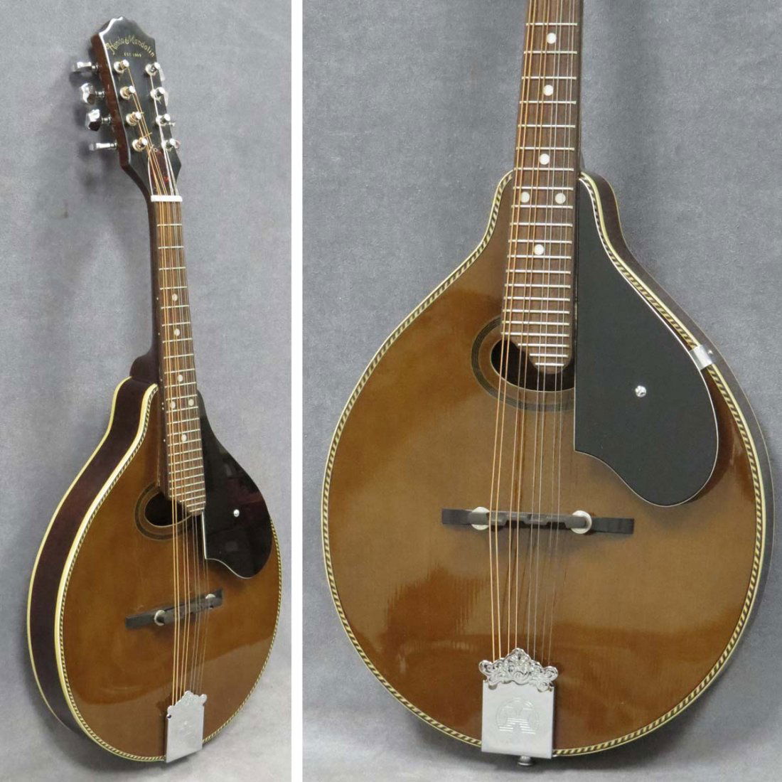 Hondo mandolin price online