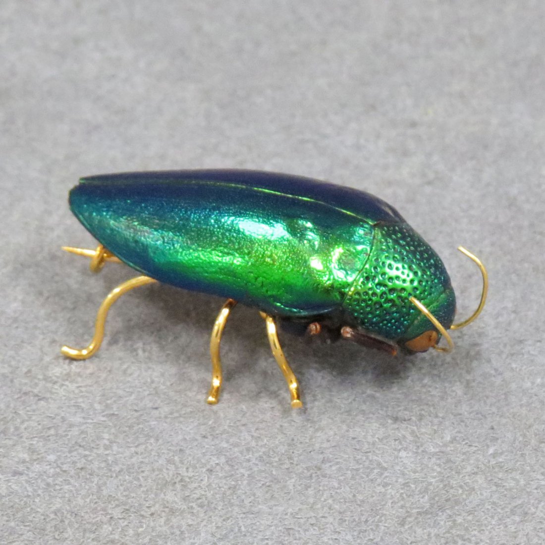 EGYPTIAN REVIVAL IRIDESCENT BEETLE PIN: EGYPTIAN REVIVAL IRIDESCENT BEETLE PIN