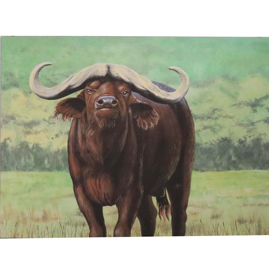 AMERICAN SCHOOL (20TH CENTURY), OIL ON CANVAS: AMERICAN SCHOOL (20TH CENTURY), OIL ON CANVAS, CAPE BUFFALO. 69 X 92"