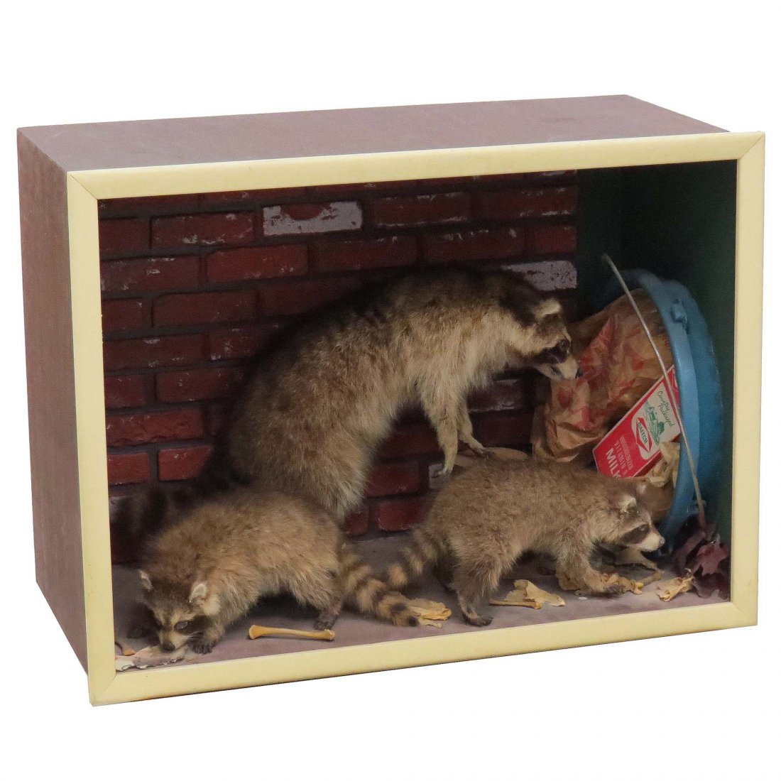 RACCOON FAMILY DIORAMA: RACCOON FAMILY DIORAMA. HEIGHT 28"; WIDTH 36"