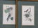 LOT (4) JOHN JAMES AUDUBON, BIRDS OF NORTH AMERICA - 2