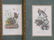 LOT (4) JOHN JAMES AUDUBON, BIRDS OF NORTH AMERICA - 3