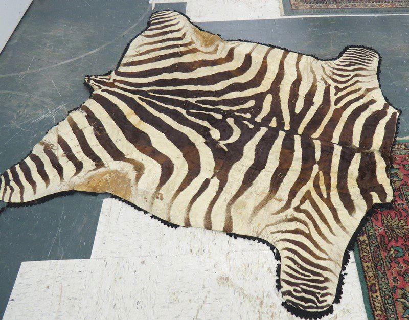 VINTAGE FELT-BACKED ZEBRA SKIN RUG (1 of 3)