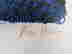 item-43670309=2