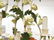 FRENCH STYLE PAINTED METAL CHANDELIER. HEIGHT 20" - 3