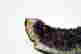 item-44426719=2