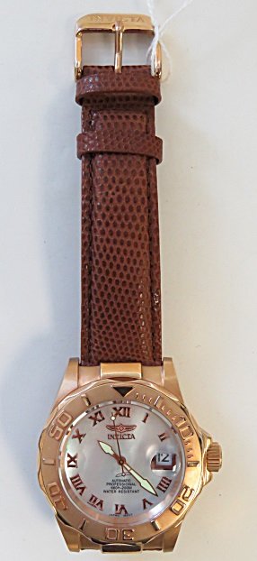 INVICTA GILT STAINLESS 21-JEWEL PRO-DIVER AUTOMATIC (1 of 3)