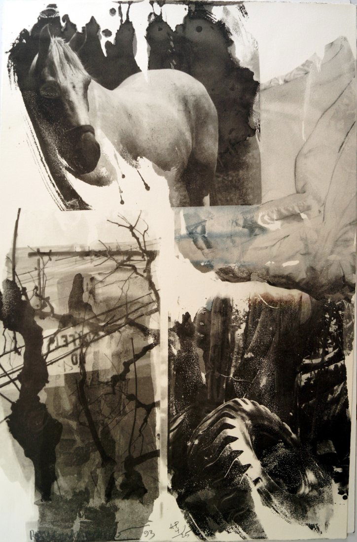 AFTER ROBERT RAUSCHENBERG (AMERICAN 1925-2008), PHOTO: AFTER ROBERT RAUSCHENBERG (AMERICAN 1925-2008), PHOTO LITHOGRAPH LAID ON PAPER, HORSE SILK (NIGHT SIGHTS SERIES-CREATED FOR THE COVER OF THE 40TH ANNIVERSARY OF APERTURE MAGAZINE), SIGNED (IN PLATE).