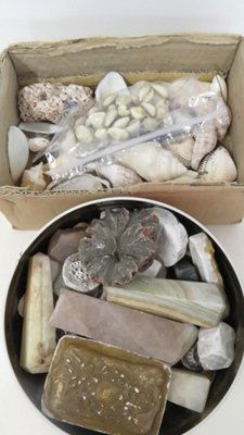 ASSORTED LOT INCLUDING SEASHELLS, POLISHED AGATE AND (1 of 1)