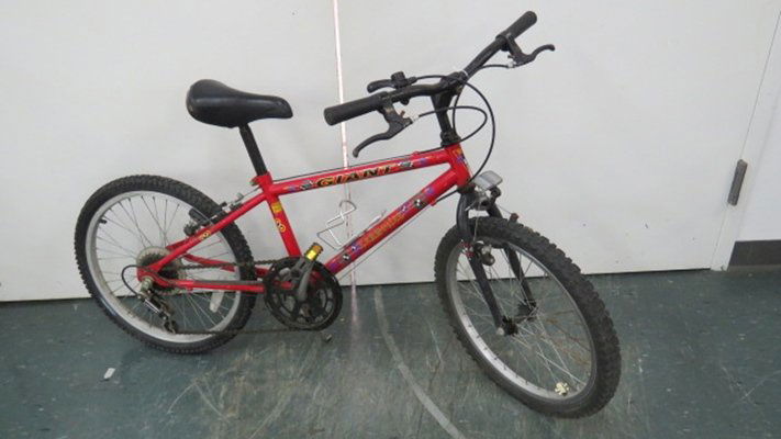 GRANT YOUTH'S 5-SPEED MOUNTAIN BICYCLE (1 of 3)