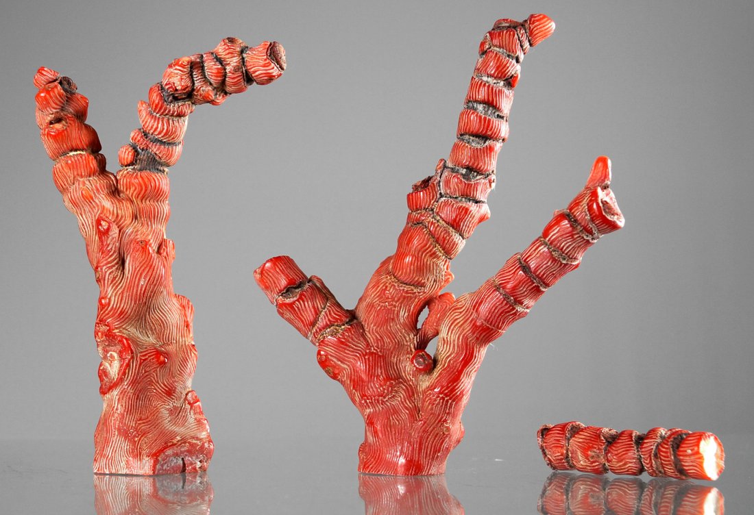 LOT (2) DYED RED BRANCH CORAL SPECIMENS. LENGTH 6" & (1 of 1)