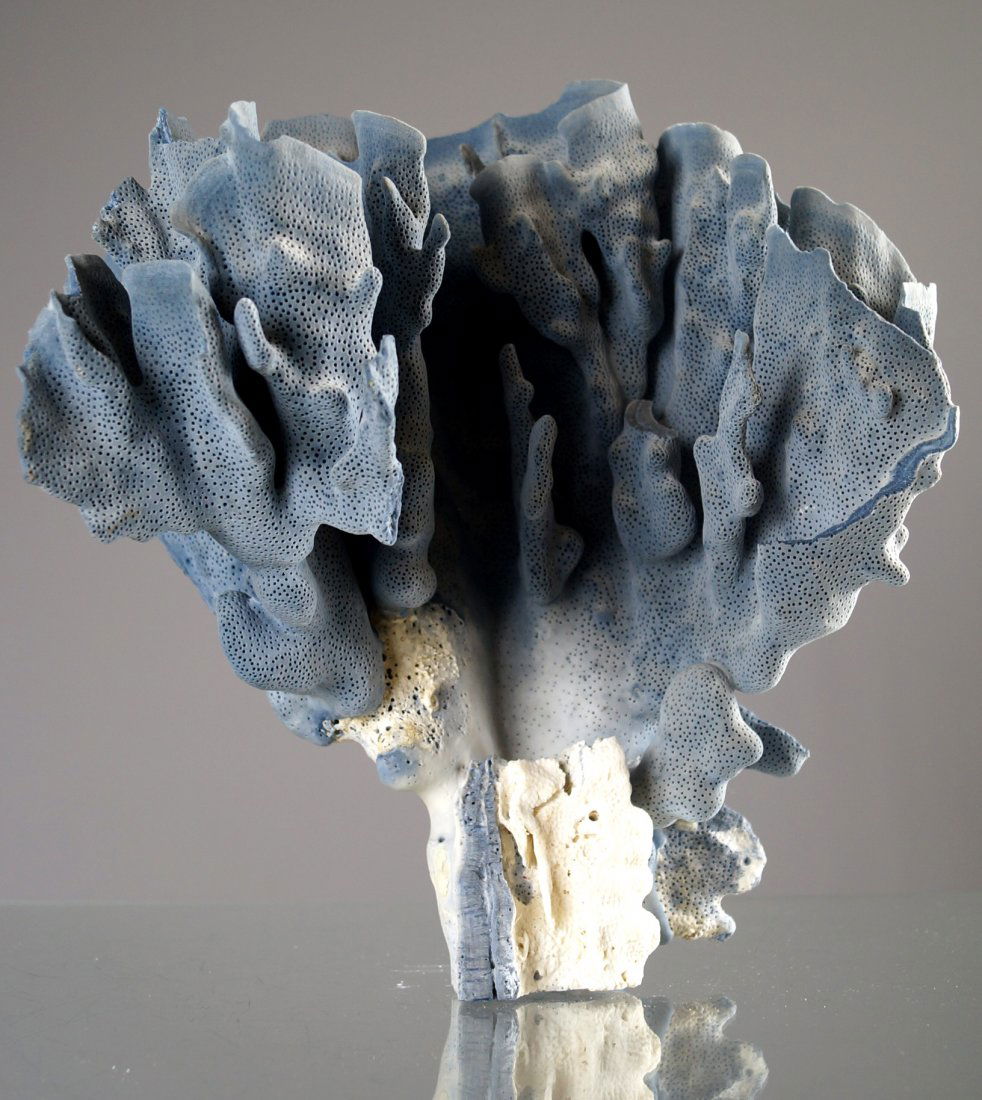 BLUE RIDGE CORAL SPECIMEN (HELIOPORA COLRULEA). HEIGHT (1 of 2)