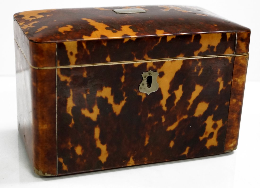 REGENCY TORTOISE SHELL MOUNTED TEA CADDY, 19TH CENTURY. (1 of 3)