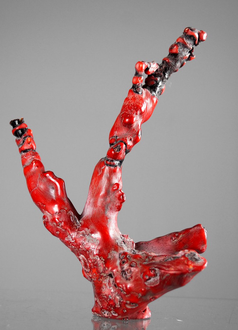 DYED RED BRANCH CORAL SPECIMEN. HEIGHT 8 1/2"; WEIGHT (1 of 1)