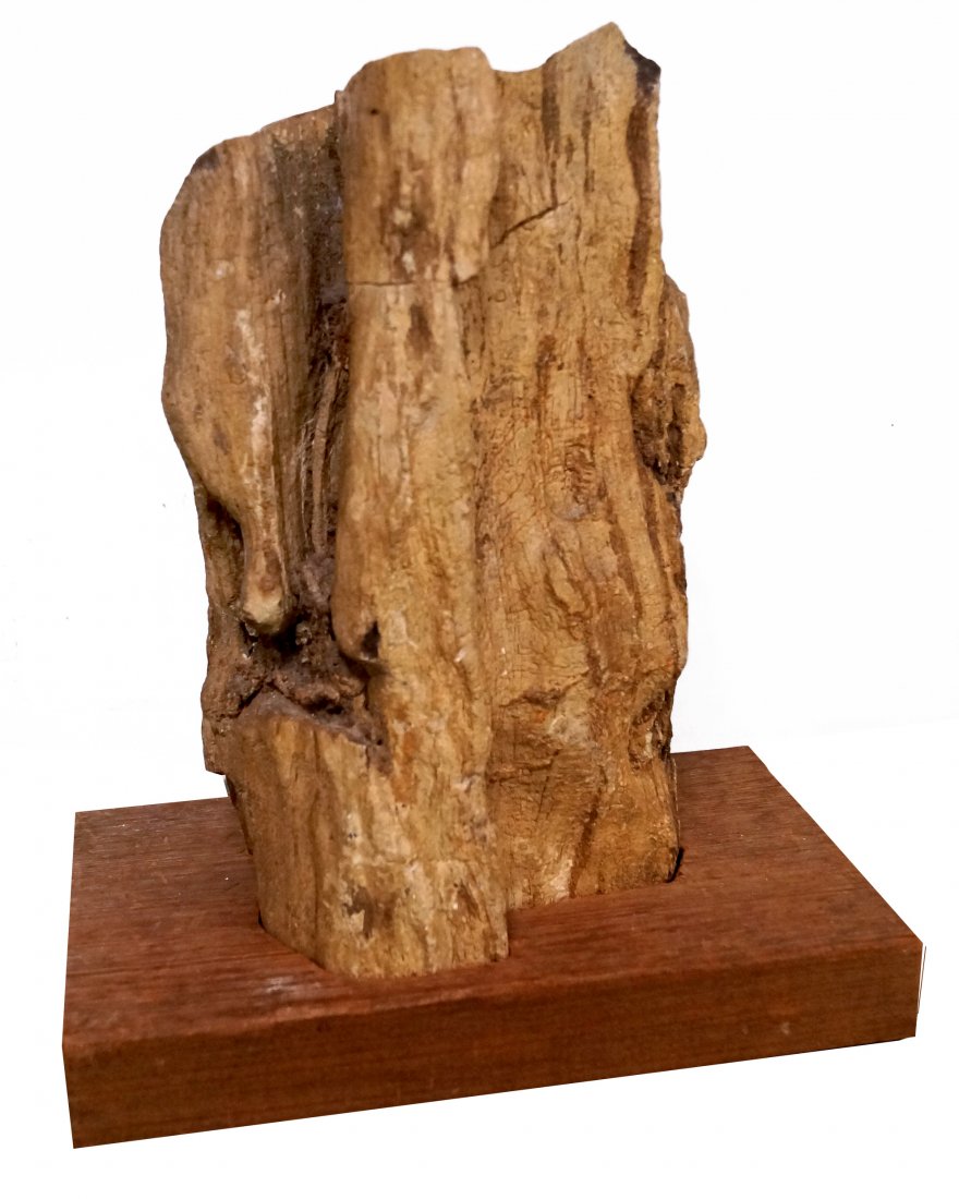 CHINESE PETRIFIED WOOD SCHOLAR'S STONE: CHINESE PETRIFIED WOOD SCHOLAR'S STONE. HEIGHT 11"