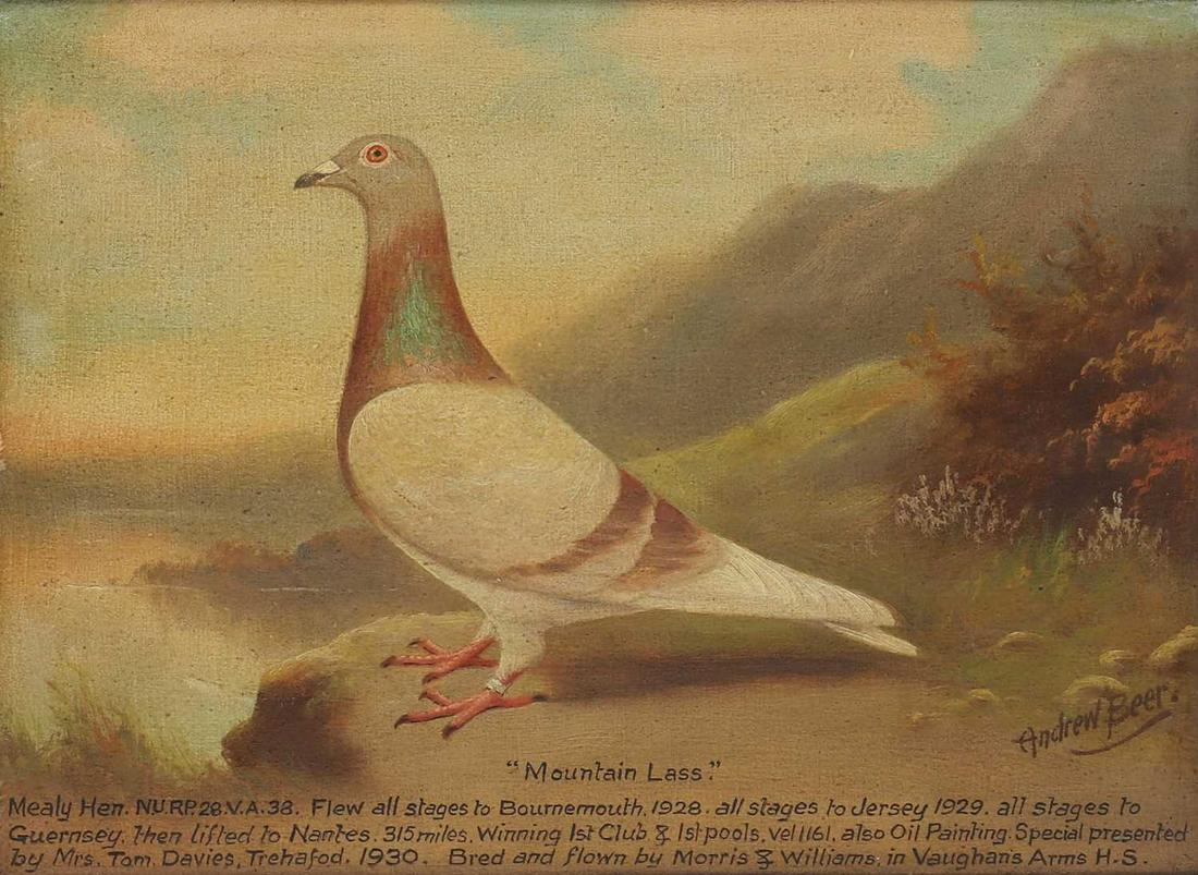 *Andrew Beer (1862-1954) (1 of 4)