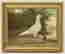 item-128427182=2