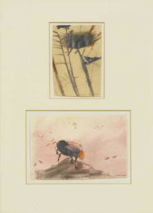 Mary Newcomb (1922-2008): Mary Newcomb (1922-2008) â–´ Mary Newcomb (1922-2008) 'Damp bee'; Bird's nest two, both signed 'Mary Newcomb' l.r., the first inscribed with title verso, pencil and watercolour 12.7 x 19cm and 14