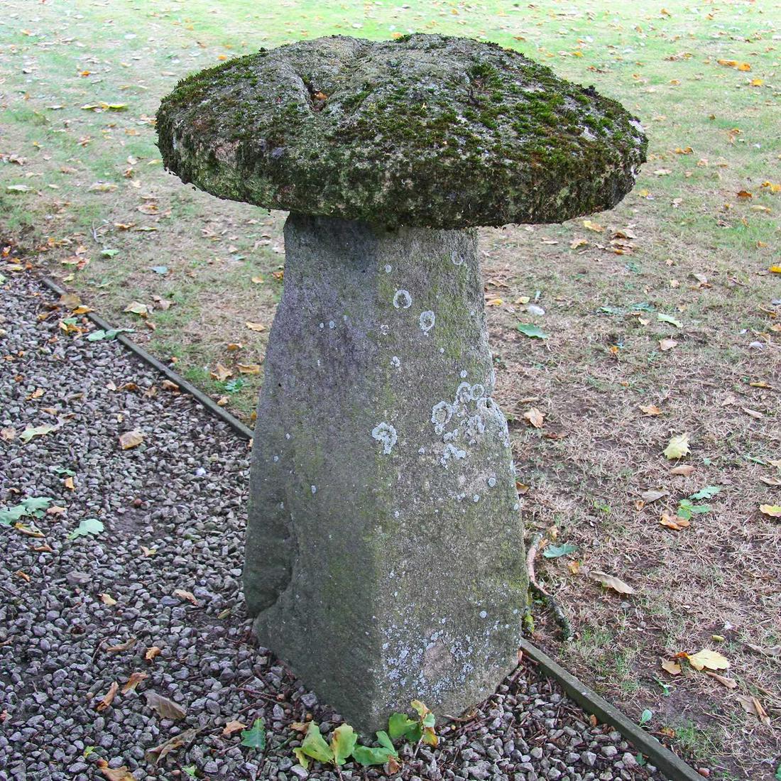 A large Cotswold stone staddle stone, (1 of 1)
