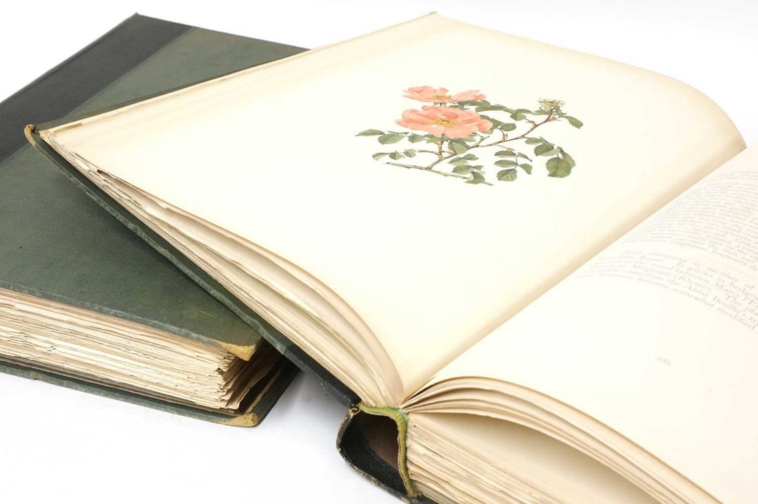 Willmott, Ellen; Drawings by Alfred Parsons:: Willmott, Ellen; Drawings by Alfred Parsons: Willmott, Ellen; Drawings by Alfred Parsons: The Genus Rosa. In 2 volumes. John Murray, 1914. Folio, with 132 chromolithographic plates, 15 monochrome plat