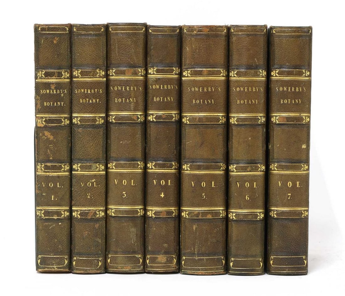 Smith, J E & J Sowerby (ill): English Botany; (1 of 5)