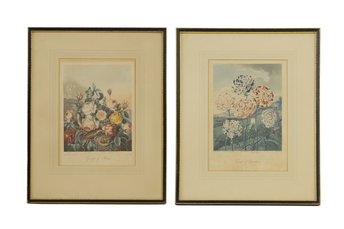 Dr Robert John Thornton (1768-1873), publisher: Dr Robert John Thornton (1768-1873), publisher 'Roses'; 'Carnations' two coloured aquatint and mezzotint engravings with hand-colouring from the Temple of Flora, 'Carnations' dated 1 January 1812 30 x