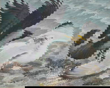 ▲ Charles Frederick Tunnicliffe RA (1901-1979): ▲ Charles Frederick Tunnicliffe RA (1901-1979) 'Gull V. Hoodies' signed 'C. F. Tunnicliffe' l.r., watercolour over pencil 47 x 57cm Exhibited: The Royal Academy Summer Exhibition, 1967, catalogu