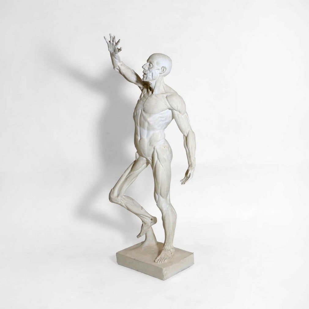 After Georges Jacquot,: After Georges Jacquot, 20th century, an écorché plaster statue, this piece is listed in the Caproni catalogue no. 21006 as by 'Jacot', a misspelling/variation of 'Jacquot', officially titled
