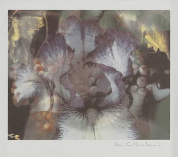 ▲ Mat Collishaw (b.1966): ▲ Mat Collishaw (b.1966) ‘Transparencies I-V', 1998 iris print from an edition of 10, signed 'M Collishaw' in pencil l.r. image 15.5 x 17.5cm Provenance: With Lisson Gallery, London; a pri