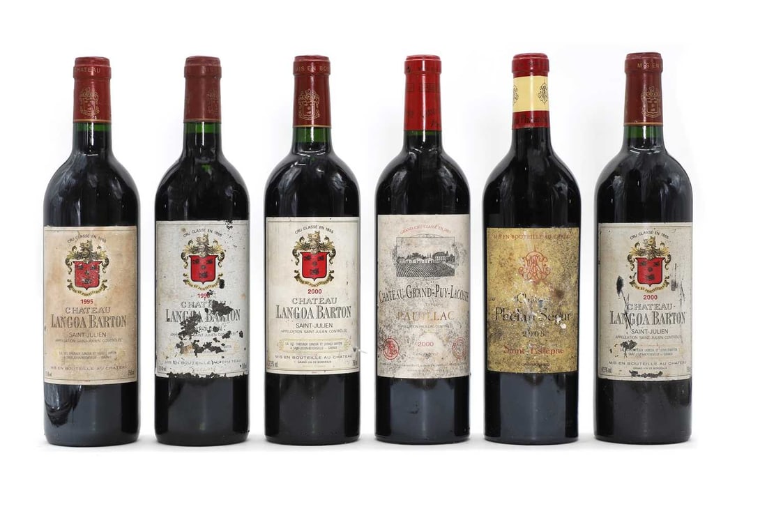 A selection of Bordeaux red wines,: A selection of Bordeaux red wines, comprising 1 x Chateau Langoa Barton, Saint-Julien, 1995, 1 x 1996 and 2 x 2000, 1 x Chateau Phelan-Segur, Saint-Emilion, 2005 and 1 x Chateau Grand Puy-Lacoste, Pa