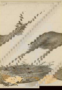 Dutch School, 18th century: Dutch School, 18th century A bushbuck inscribed and dated 'D./D;P./1770' l.c., inscribed 'No..5' u.l., pen and ink and watercolour, squared for transfer with black chalk 28 x 19.5cm Condition Report: