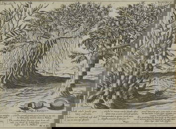 The van Deutecum Brothers&#8203;&#8203; after Jan Huygen van Linschoten