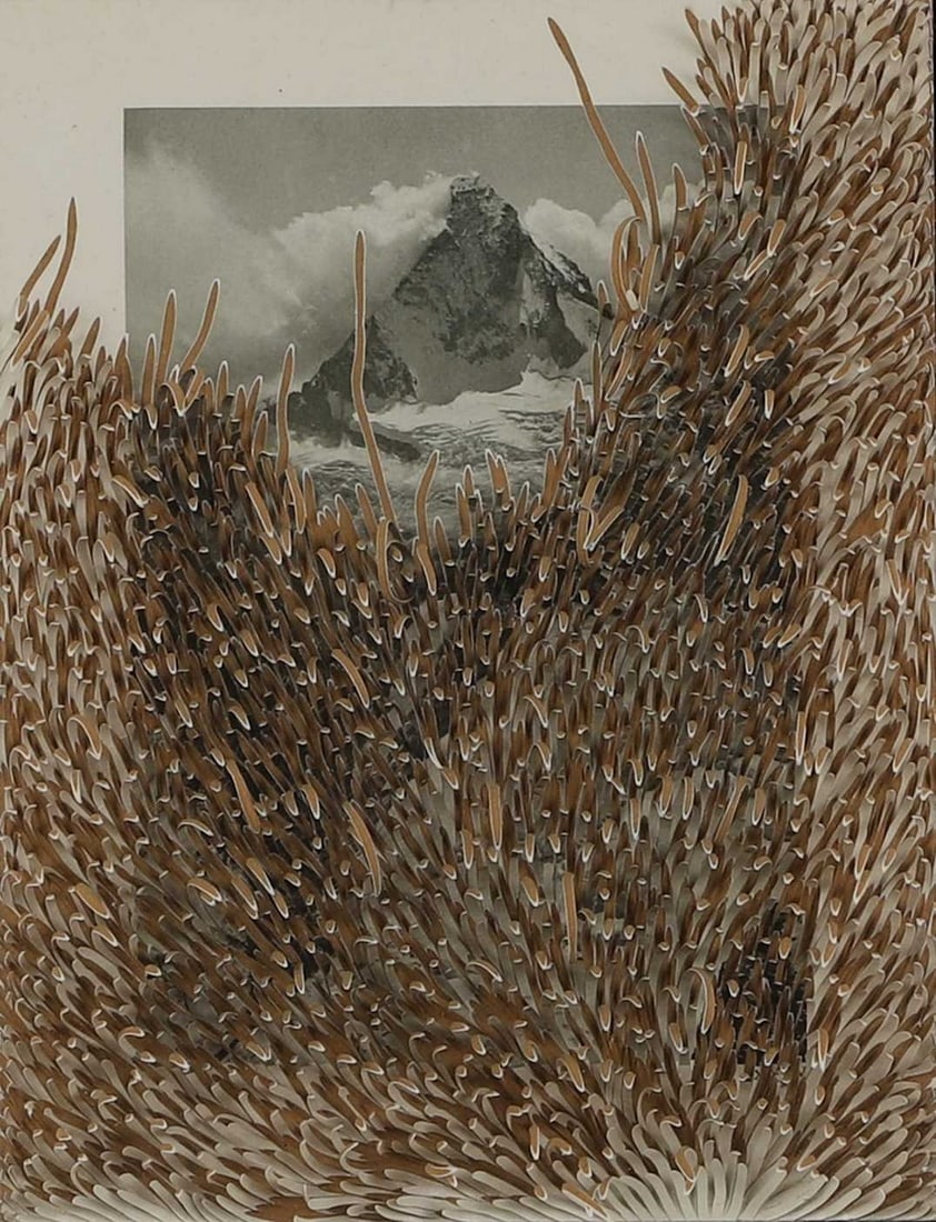 ▲ Jonathan Callan (b.1961): ▲ Jonathan Callan (b.1961) Untitled (Mountain), 1997 carved wood and photographic plate 25 x 18cm Provenance: With Richard Salmon Gallery, London. Condition Report: Framed: 63 x 49cm A little ti