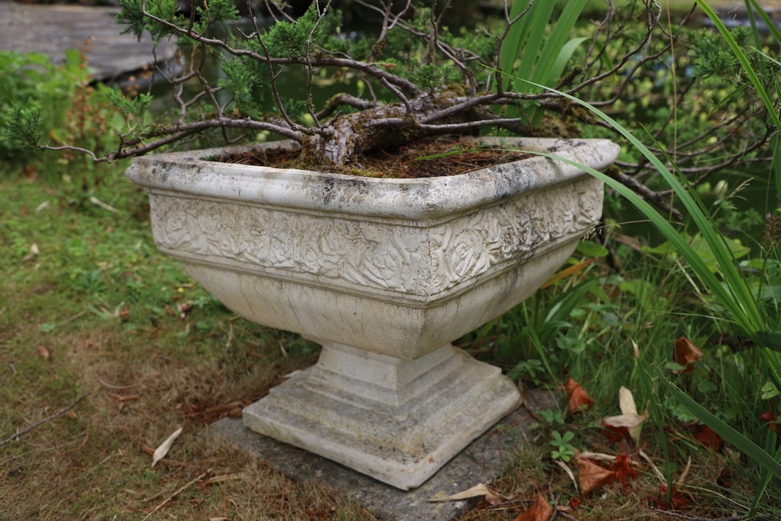 A modern composite stone urn,: A modern composite stone urn, of square pedestal form with moulded decoration and a mature fir tree, 51cm square 43cm high and a modern Japanese redware urn decorated with script and a mature shrub, 6