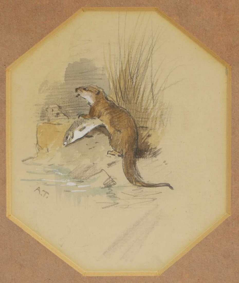 Archibald Thorburn (1860-1935): Archibald Thorburn (1860-1935) An otter with a fish signed with initials c.l., pencil and watercolour heightened with white 11 x 9cm, in an octagonal mount Provenance: With David McDonald Booth, Londo