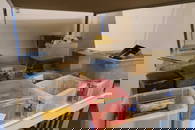 A collection of clockmakers parts, spares and accessories,