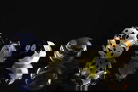 A group of Caithness Glass paper weights,