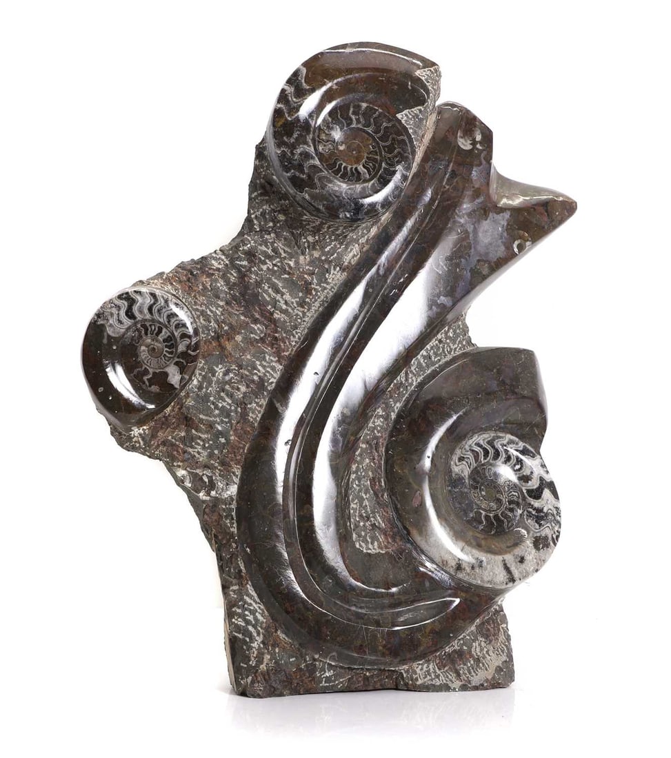 A large decorative ammonite fossil fragment,: A large decorative ammonite fossil fragment, with three ammonites embedded in the central stone, 42cm wide52.5cm high Condition Report Some small nibbles from the side and natural cracking throughout