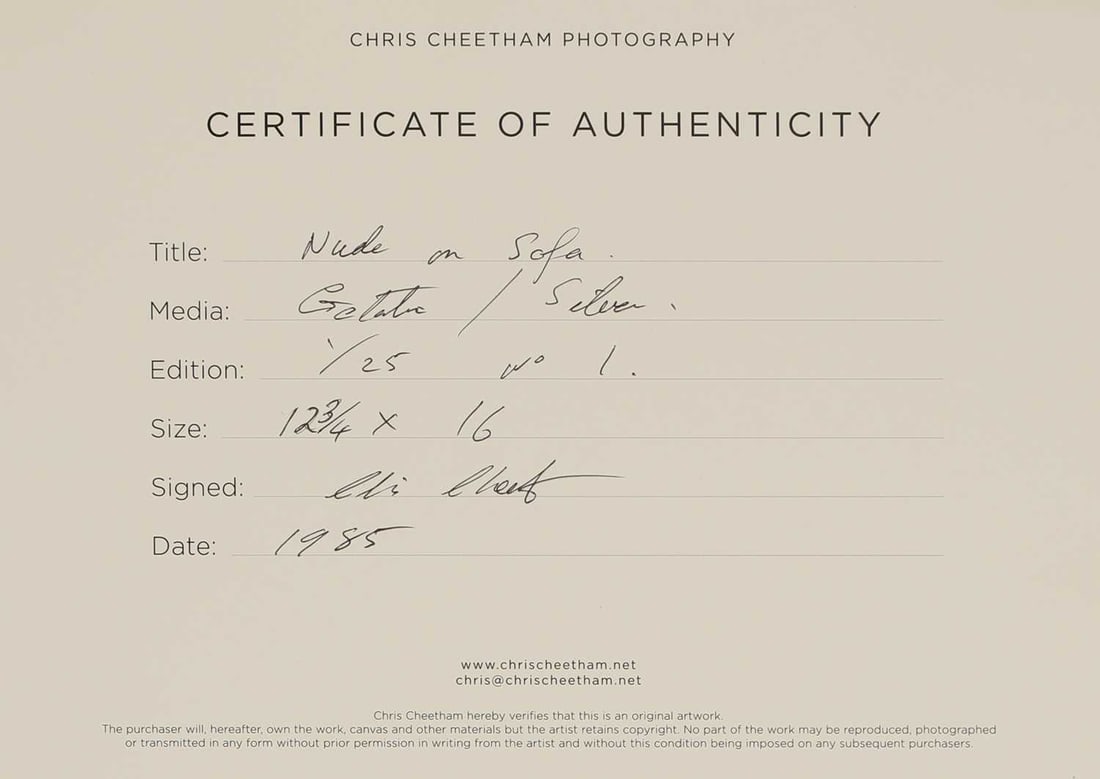 Chris Cheetham (b.1951) 1985 - 3