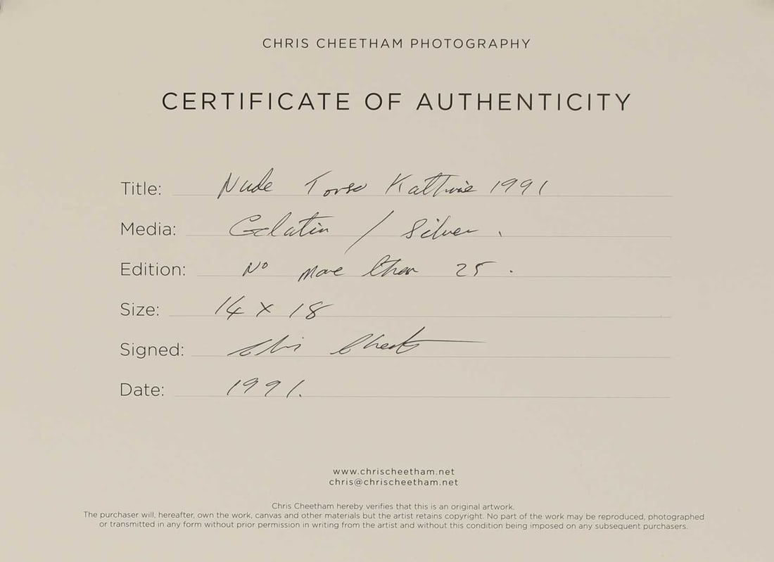 Chris Cheetham (b.1951) 1985 - 5