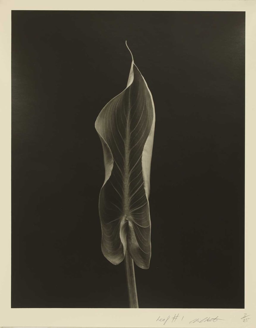 Chris Cheetham (b.1951) 1985 - 6