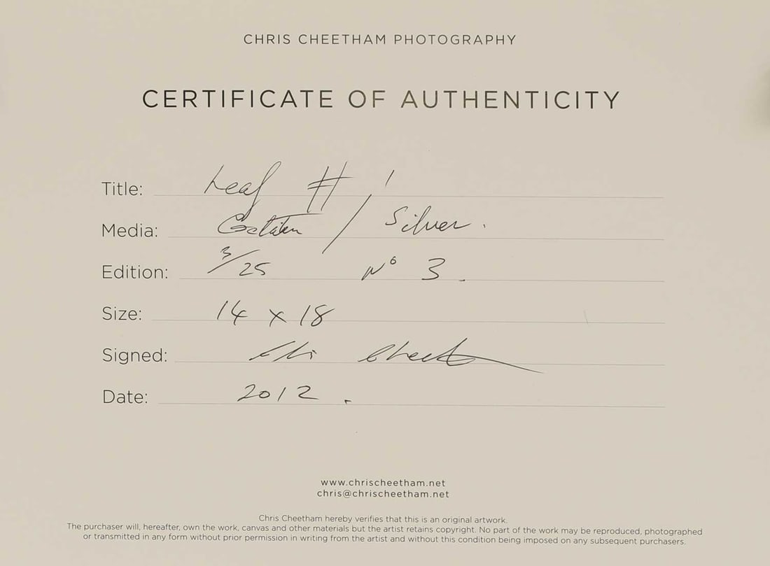 Chris Cheetham (b.1951) 1985 - 7