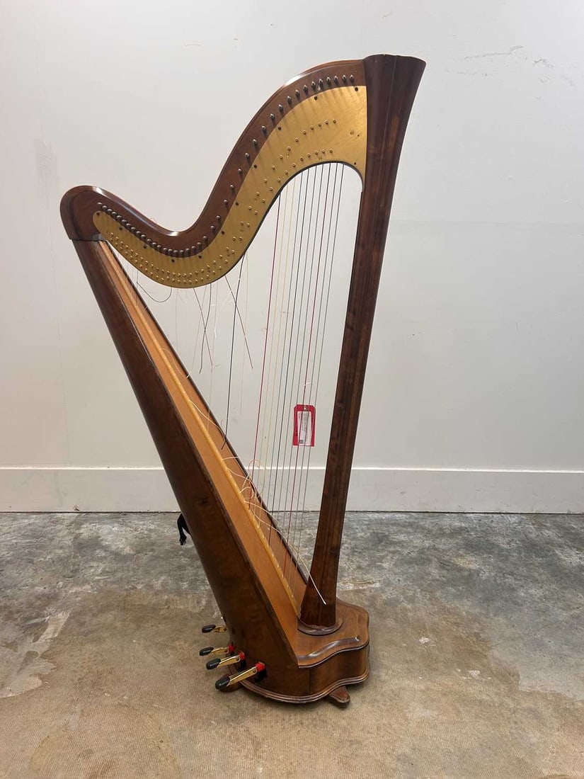A Salvi Daphne 40 seven pedal harp, late 20th Century, (1 of 7)
