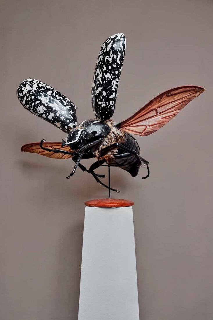 A large anatomical model of a cockchafer (Melolontha vulgaris), mid-20th century, (1 of 7)