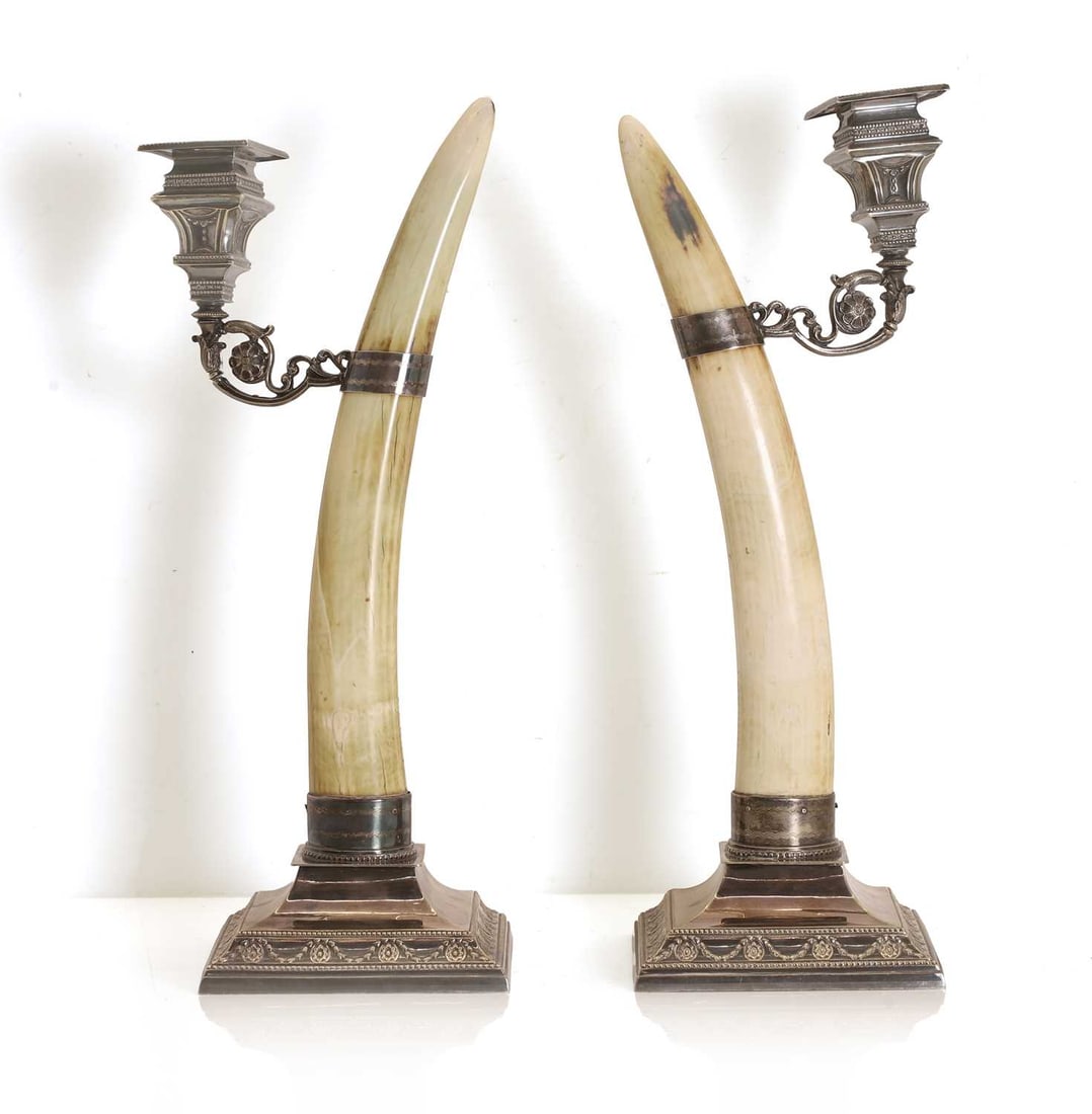 A pair of Walrus (Odobenus rosmarus) tusk mounted silverplated candlesticks by Joseph Rodgers: A pair of Walrus (Odobenus rosmarus) tusk mounted silverplated candlesticks by Joseph Rodgers each stamped '182821' and 'Joseph Rogers Sheffield', Shipping Disclaimer: Buyers must be aware of their c