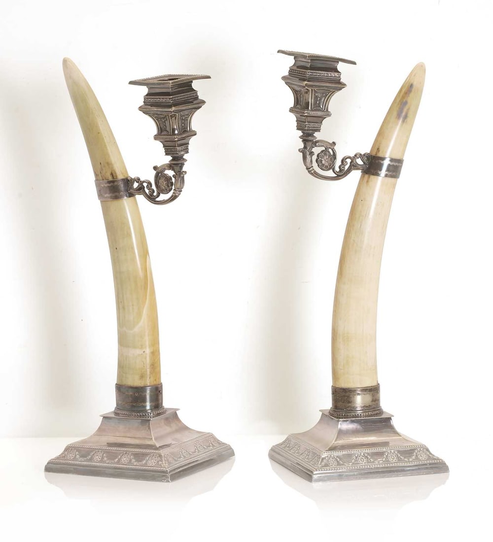 A pair of Walrus (Odobenus rosmarus) tusk mounted silverplated candlesticks by Joseph Rodgers - 2
