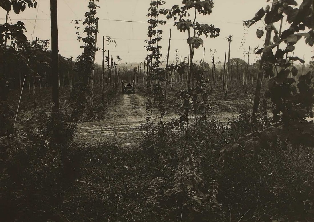Timothy Fagan (British, 20th century) A group of six photographs from the series ‘Writers: Timothy Fagan (British, 20th century) A group of six photographs from the series ‘Writers Kent’, 1989 'Hop Picking- George Orwell'; 'The Garden that I Love- Alfred Austin'; 'The Small Year