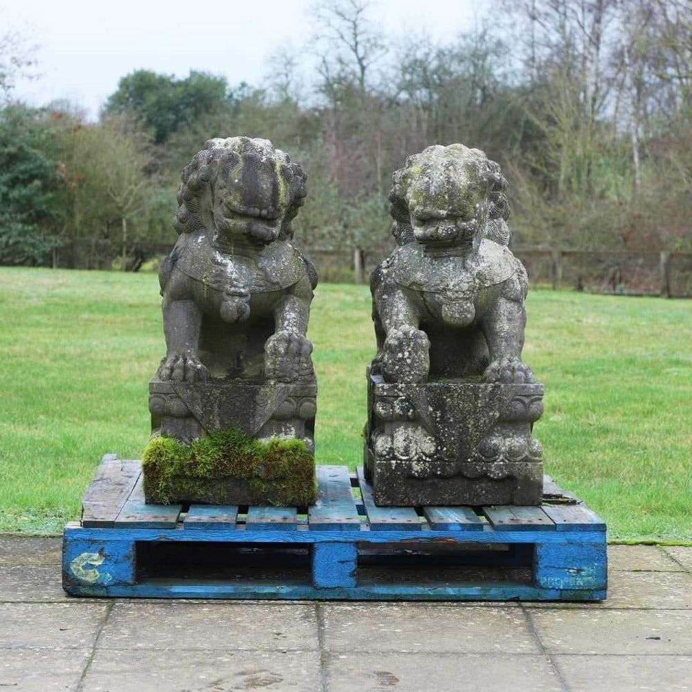 A pair of black stone Buddhist lions, 20th century,: A pair of black stone Buddhist lions, 20th century, each seated on a square plinth base, (39cm wide, 51cm deep, 89cm high overall) (2) Condition Report: Significant general wear throughout. Moss and w